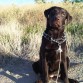 Sua cinco meses en el parque